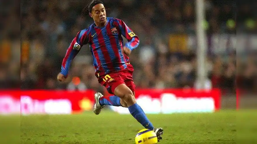 队科学指导 队科学指导